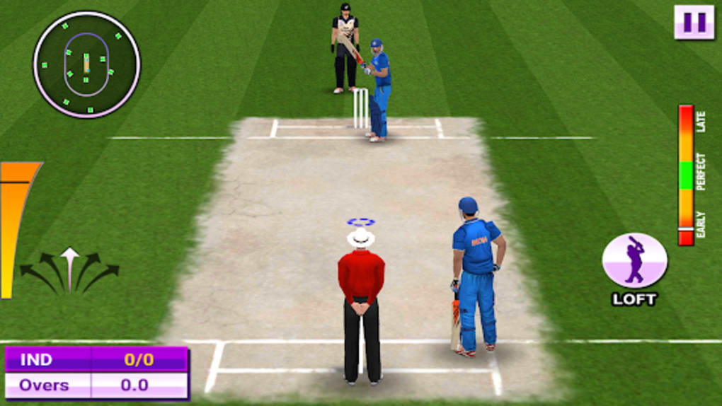 play cricket games t20